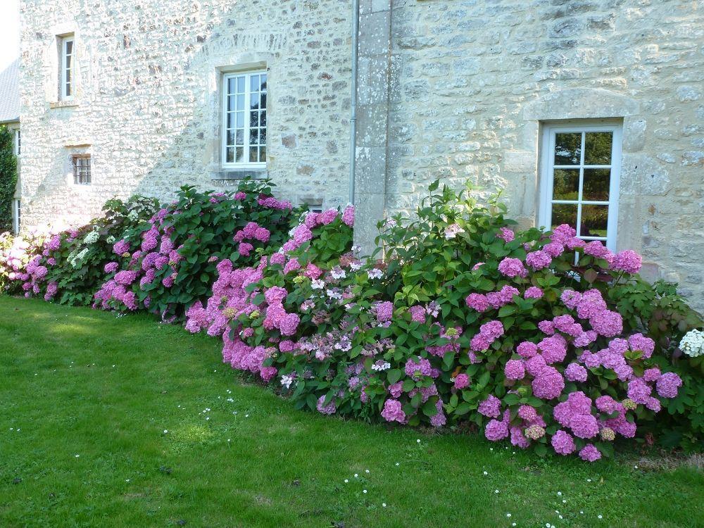 Manoir De Savigny Bed & Breakfast Valognes Dış mekan fotoğraf