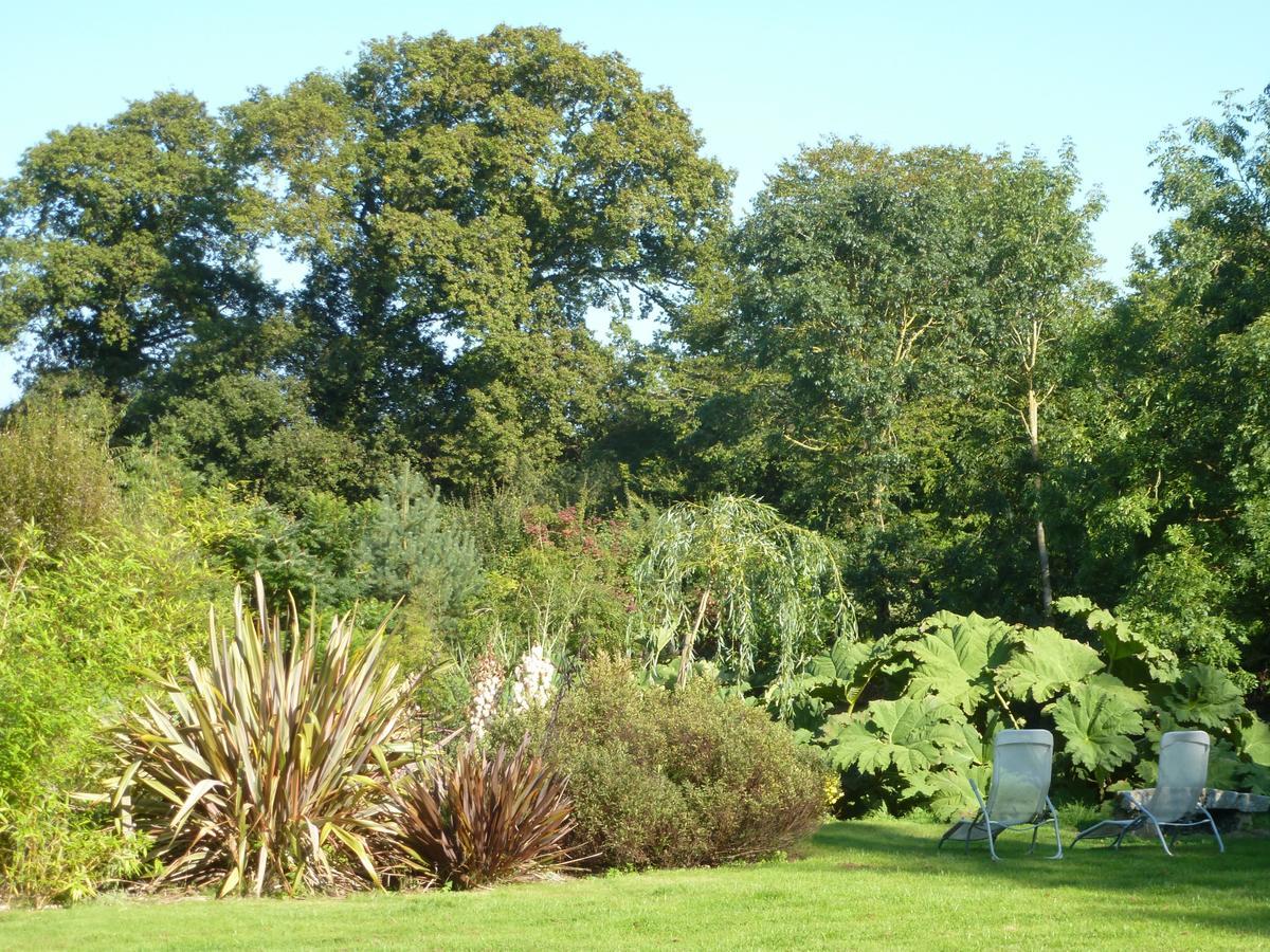Manoir De Savigny Bed & Breakfast Valognes Dış mekan fotoğraf